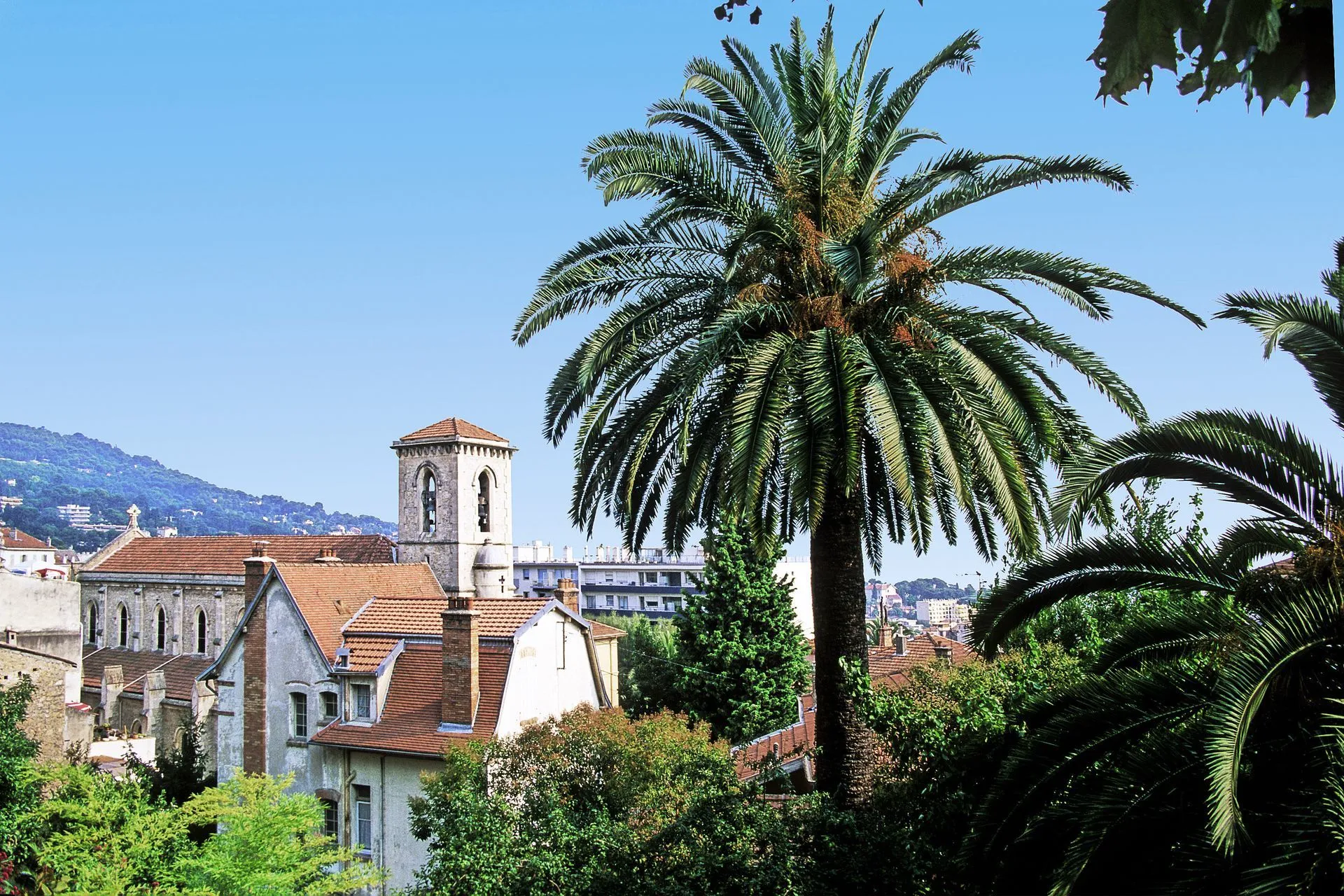 Avocat en droit des assurances au Cannet - Azuris Avocats